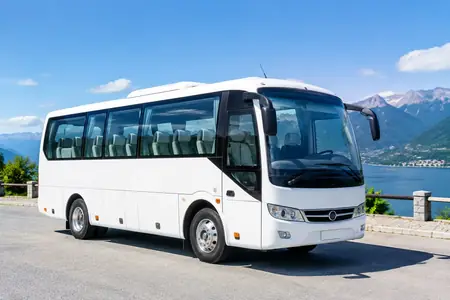 研学旅行地接（学校研学/亲子研学）